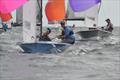 Merlin Rocket Aspire National at Looe Day 5 © Alex Pausey