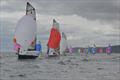 Merlin Rocket Aspire National at Looe Day 5 © Alex Pausey