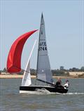 Essex Dinghy Championships at Stone Sailing Club © Nick Champion / www.championmarinephotography.co.uk