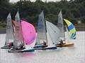 © Andrea Hardiman Bartley Merlin Rocket Craftinsure Silver Tiller, HD Sails Midland Circuit, Classis Series and Youth Championship © Andrea Hardiman