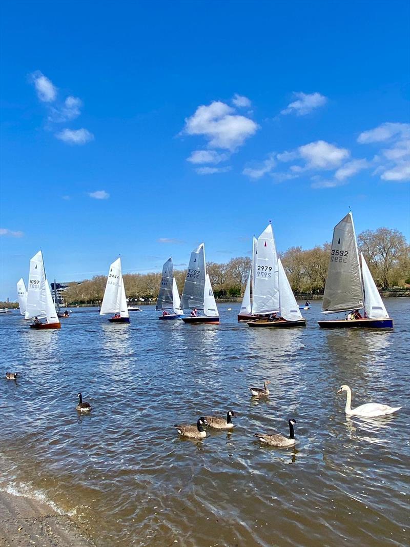 Merlin Rockets sailing at Ranelagh photo copyright Ranelagh SC taken at Ranelagh Sailing Club and featuring the Merlin Rocket class