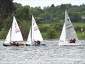 Great to see Double Handers out during the Border Counties Midweek Sailing at Shotwick Lake &copy; John Nield