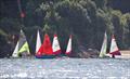 Salcombe Town Regatta Dinghy Racing 2025 © Lucy Burn