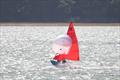 Mirror UK National Championship 2025 at Netley Sailing Club © Tim Bees