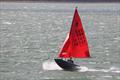 Mirror UK National Championship 2025 at Netley Sailing Club © Tim Bees