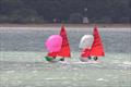 Mirror UK National Championship 2025 at Netley Sailing Club © Tim Bees