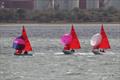 Mirror UK National Championship 2025 at Netley Sailing Club © Tim Bees