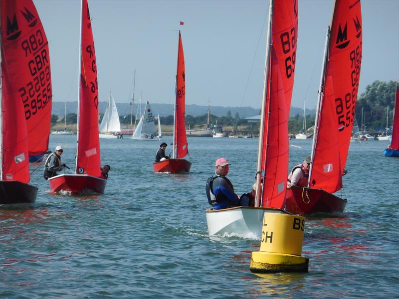 Mirror fleet soon after start with winner Dan Dixon leading at Blackwater SC Club Week 2016 photo copyright Chris Nicholls taken at Blackwater Sailing Club and featuring the Mirror class