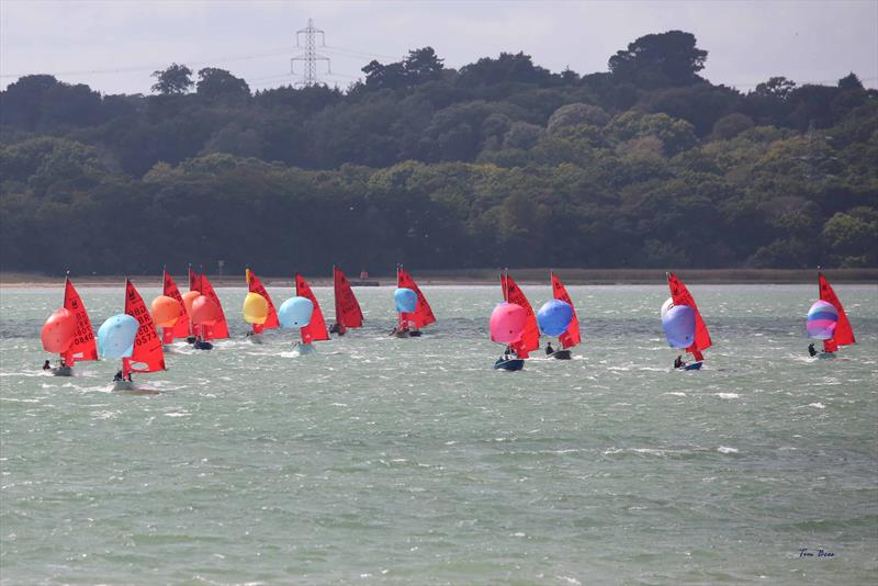 Mirror UK National Championship 2025 at Netley Sailing Club - photo © Tim Bees