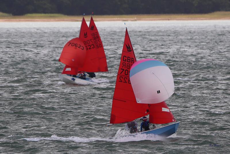 Mirror UK National Championship 2025 at Netley Sailing Club - photo © Tim Bees