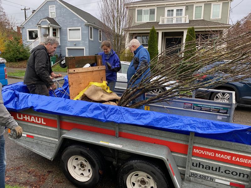 Preparing the tree for its improbably journey to Bellingham photo copyright David Schmidt taken at Bellingham Yacht Club