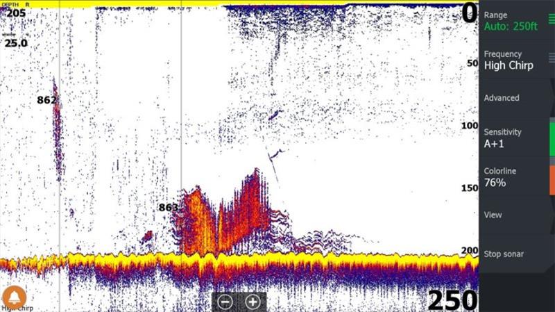 The thin line dropping into the back of the bait school is a lure. Notice that it is landing into a school of fish? That's when you know its time to hold on! - photo © Lowrance
