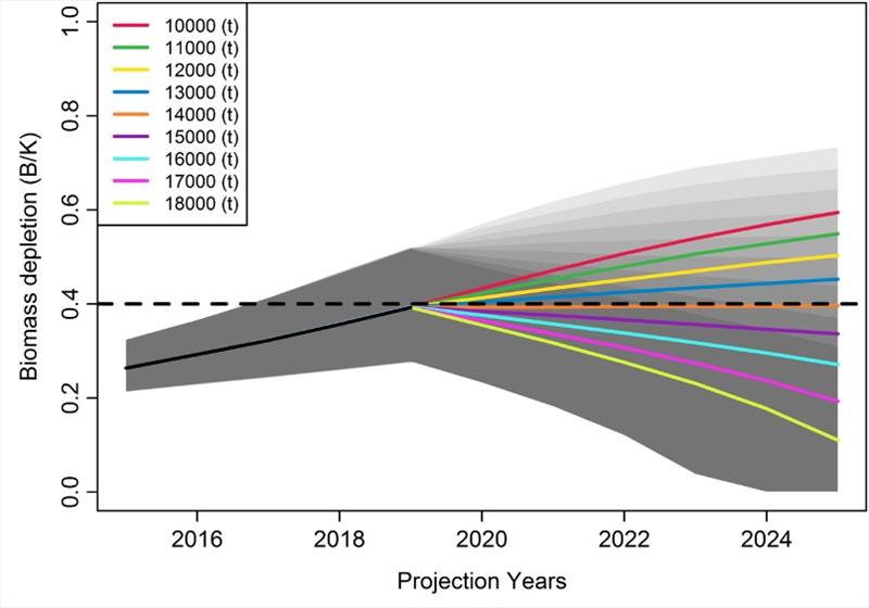 An example of a biomass projection figure produced by JABBA; B/K = biomass/carrying capacity; t = tons. - photo © NOAA Fisheries