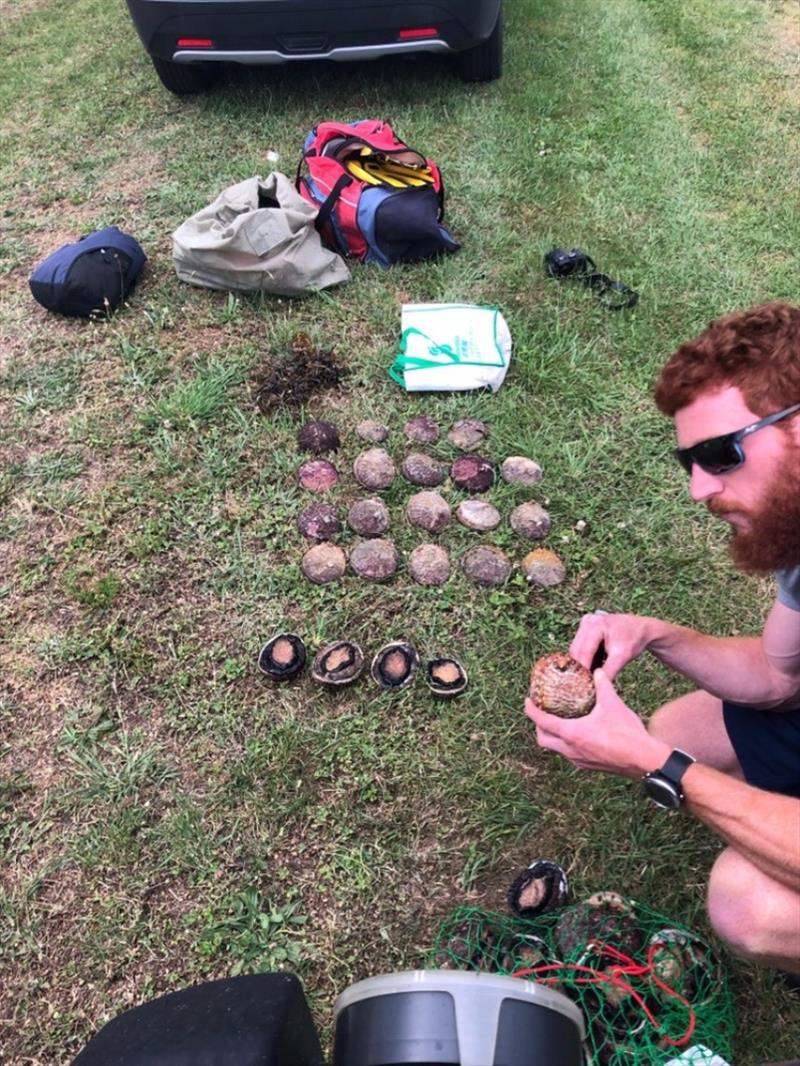 13FISH nabs abalone thieves at Port Fairy photo copyright Victorian Fisheries Authority taken at 