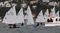 Tauranga Cup - Evans Bay Yacht and Motor Boat Club - January 2019 © Richard Beauchamp