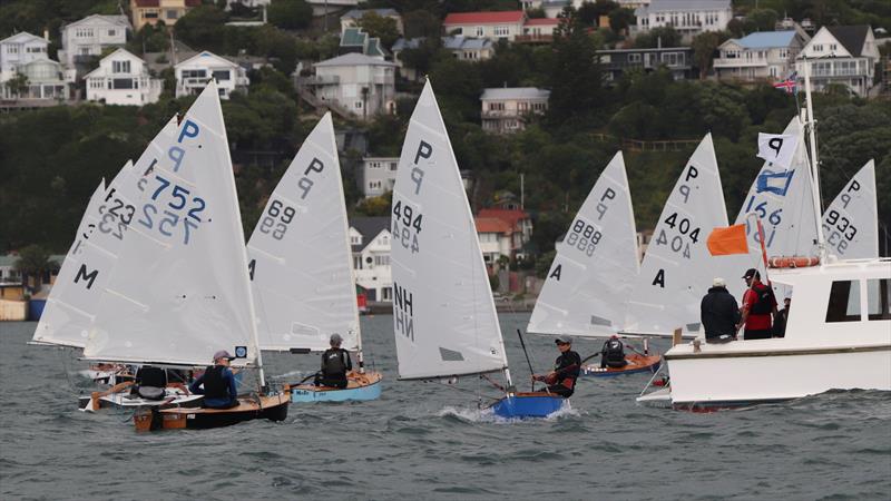 Tauranga Cup - Evans Bay Yacht and Motor Boat Club - January 2019 photo copyright Richard Beauchamp taken at Evans Bay Yacht & Motor Boat Club