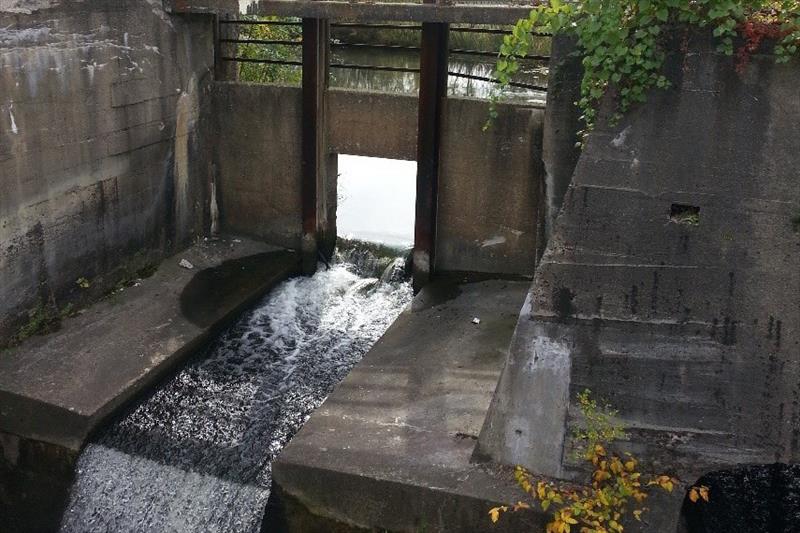 The Alcott Dam, which blocked fish from passing, before its removal photo copyright U.S. FWS / Lisa Williams taken at 