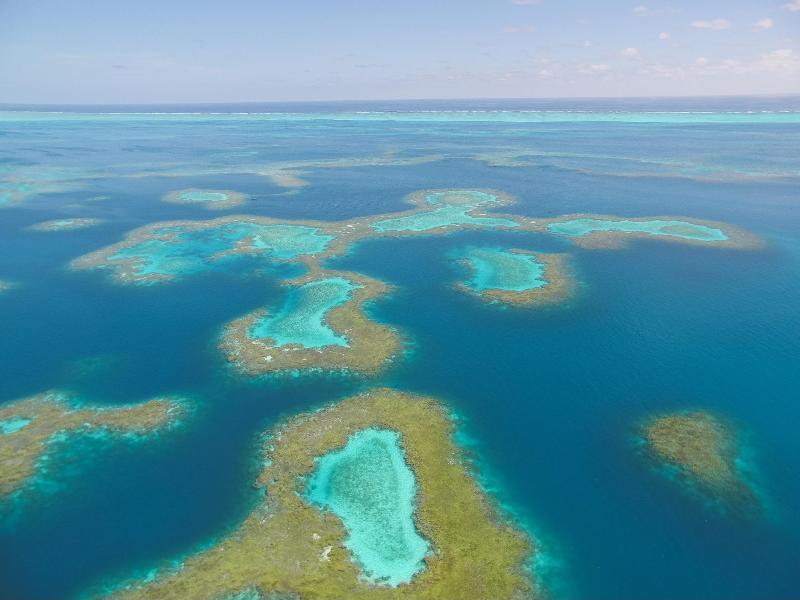 An aerial view of the coral patch reefs inside the lagoon at Pearl and Hermes Atoll photo copyright NOAA Fisheries / Steven Gnam taken at 