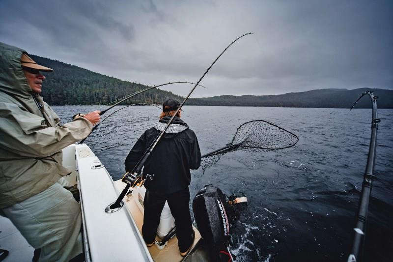 Man preparing to catch a fish with a net - photo © Laurie Wilkins