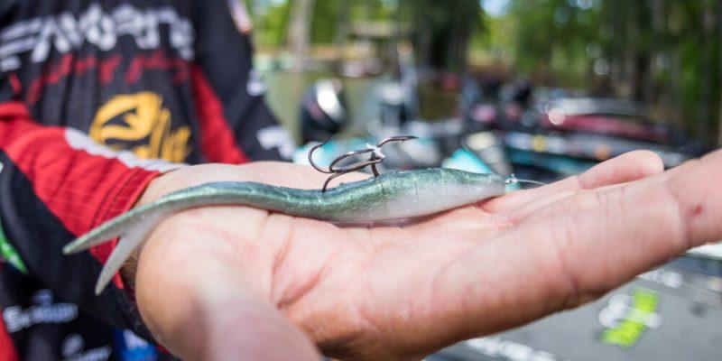 Top 10 baits from Lake Murray