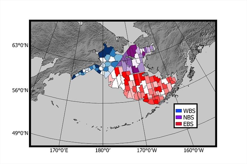 The study combined U.S. and Russian estimates of local abundance from the eastern (EBS; red), northern (NBS; purple) and western (WBS; blue) Bering Sea to evaluate fisheries survey efficiency under climate change photo copyright NOAA Fisheries taken at 