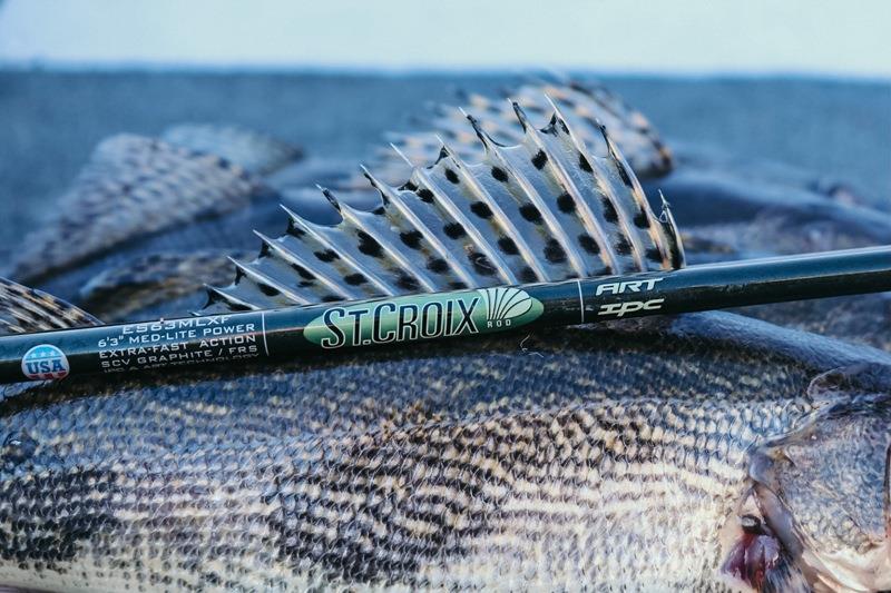 Preparing for Fall Walleye - photo © St. Croix Rods