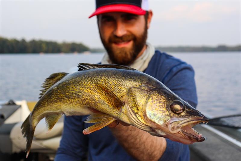 Fall Walleye photo copyright St. Croix Rods taken at 