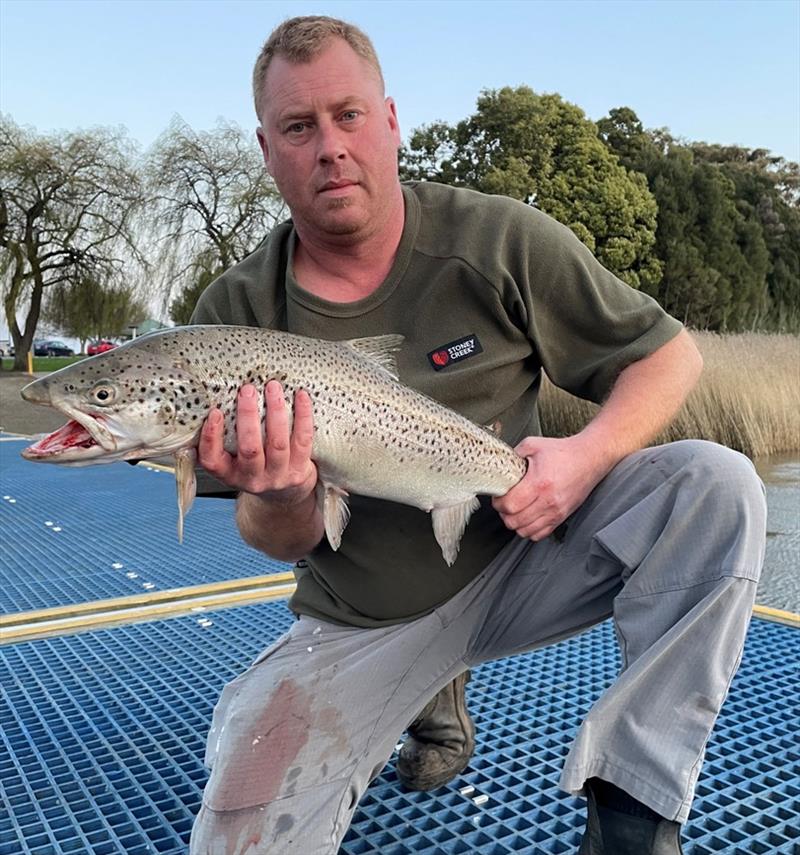 Trout Fishing North Esk River Tasmania 