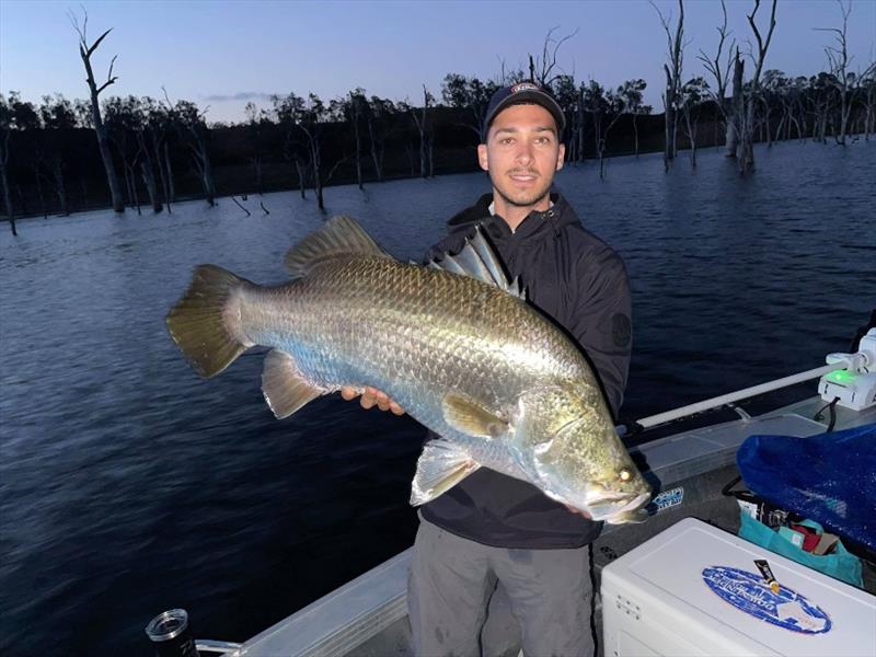 Staff member Dane has been looking forward to spring all winter, and ran up to Lake Monduran. The fishing was pretty tough but he managed to pin barra as the light faded. The Molix Shad 140 was the undoing of these fish, the barra can't resist them photo copyright Fisho's Tackle World taken at 