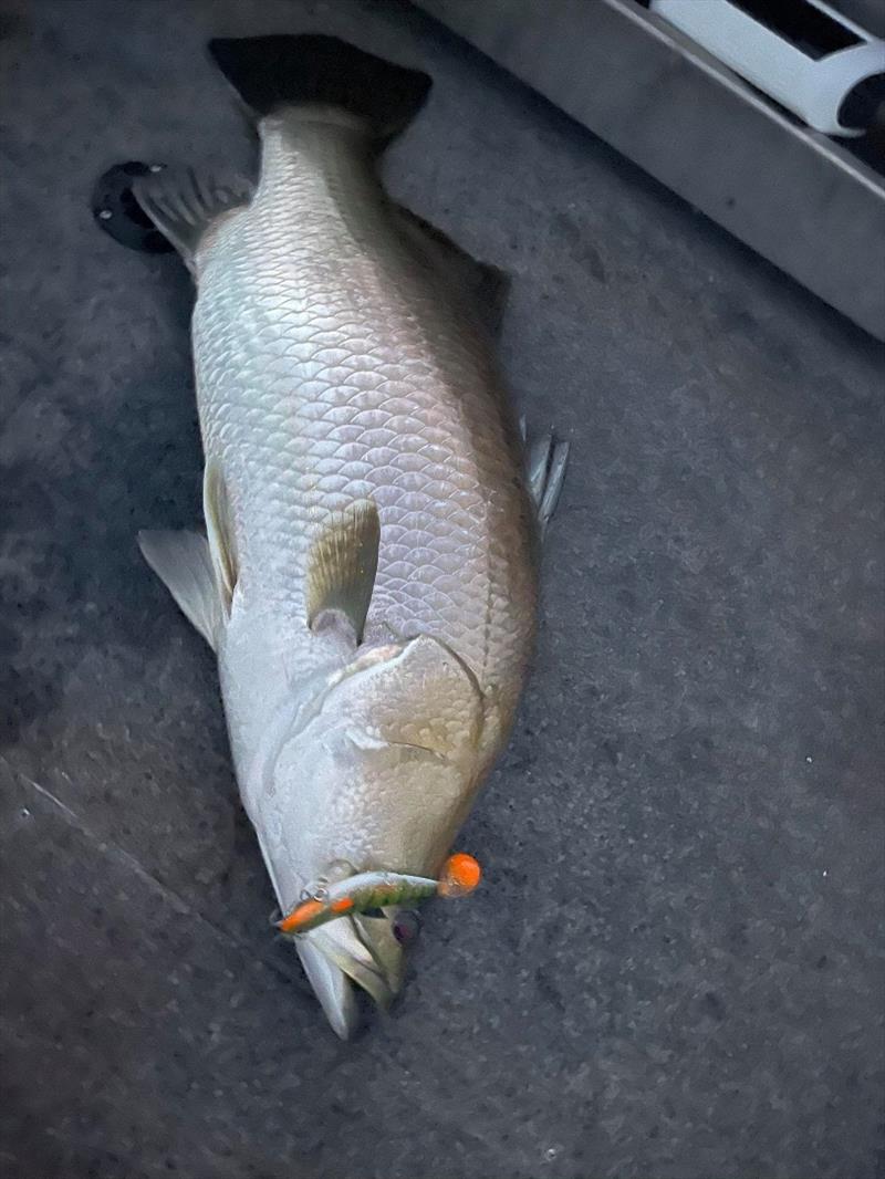 Staff member Dane has been looking forward to spring all winter, and ran up to Lake Monduran. The fishing was pretty tough but he managed to pin barra as the light faded. The Molix Shad 140 was the undoing of these fish, the barra can't resist them. - photo © Fisho's Tackle World