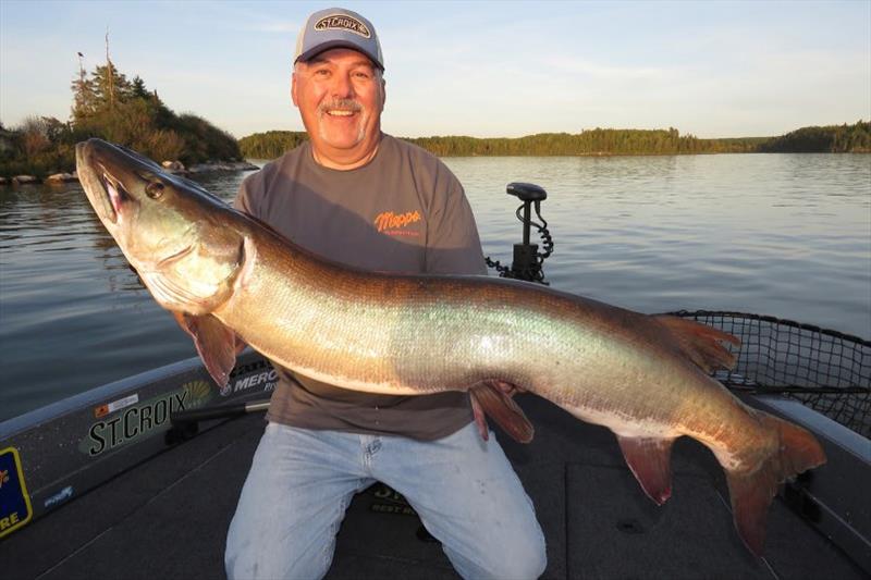 Todays Angler  One of our favorite musky topwater strikes of all