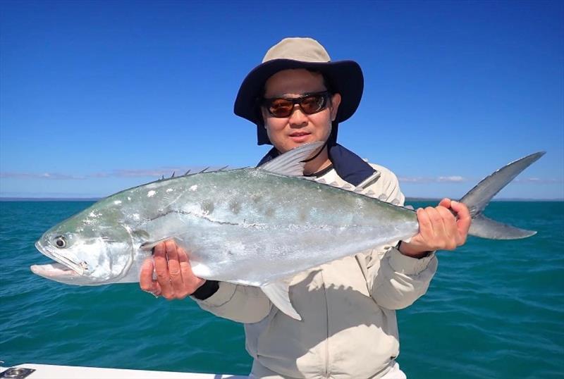 A nice queenfish caught with Tri from Fraser Guided Fishing photo copyright Fraser Guided Fishing taken at 