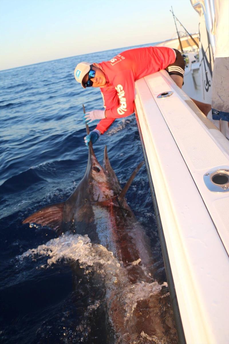 Drop in and see Dane if you want to have a crack at chasing blues and blacks on heavy tackle, he can help you with all the right gear. - photo © Fisho's Tackle World