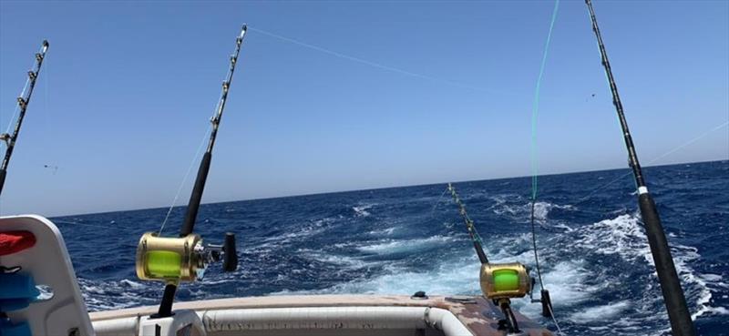 There's nothing quite like the sound of a screaming Tiagra drag. - photo © Fisho's Tackle World