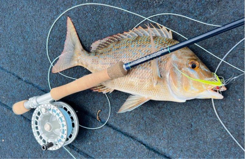 Kurt Rowlands got into some fly fishing action over the shallow inshore reefs and picked up a coral trout and spangled emperor. - photo © Fisho's Tackle World