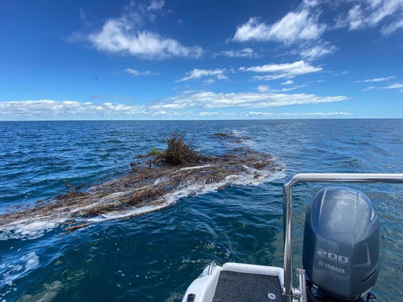 There will be plenty of floating debris, some will be just under the surface too so make sure you keep your eyes peeled. - photo © Fisho's Tackle World