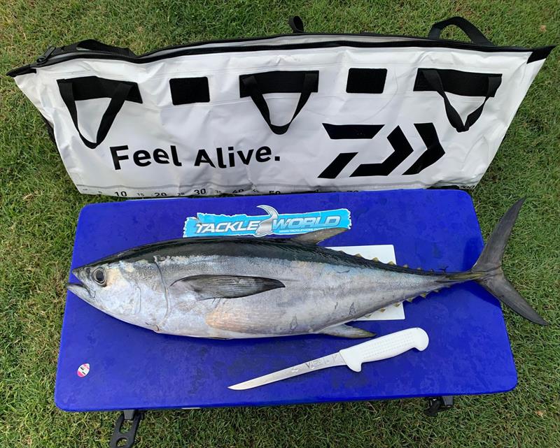 Staff member Josh getting ready to prepare some Sashimi and tuna steaks. The Daiwa Insulated Fish Bag is a great option for keeping your catch in A1 condition and can be folded up when not in use.  - photo © Fisho's Tackle World