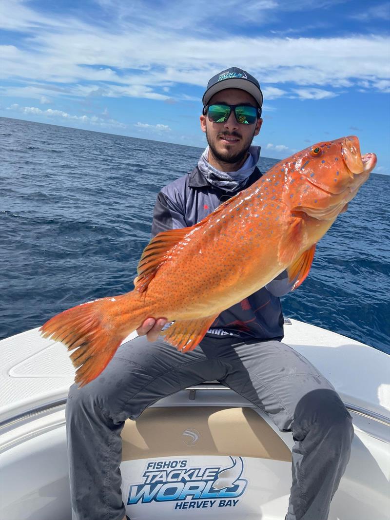 Staff member Dane with a beautiful coral trout - photo © Fisho's Tackle World