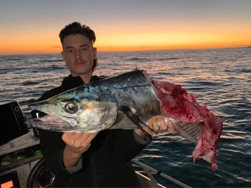 Our fish are being destroyed and the problem is getting worse year by year.  - photo © Fisho's Tackle World