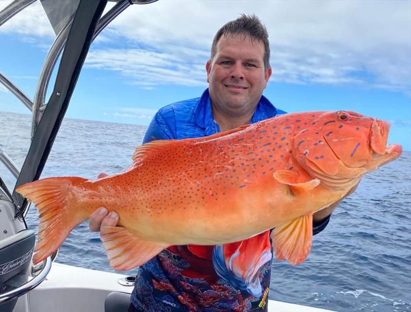 Brett scored some great coral trout on his last run. - photo © Fisho's Tackle World