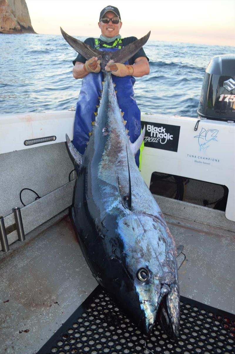 Jonah Yick with a barrel blue off the rock photo copyright Spot On Fishing Hobart taken at 