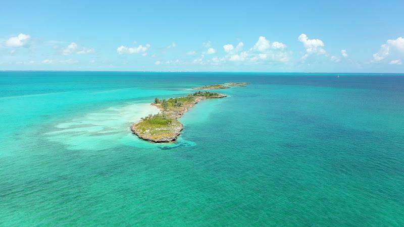 Ocean Legacy in the Bahamas - photo © Yellowfin