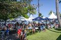 Mud Crab race day at Picnic Bay © Revolution Productions