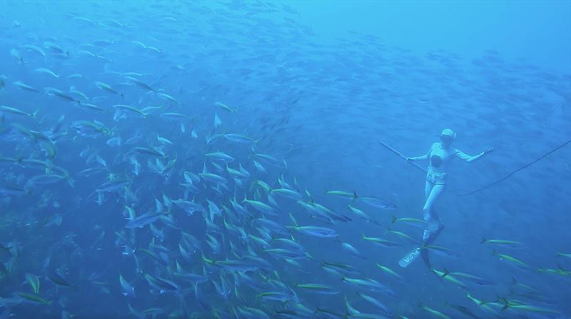 Spearfishing photo copyright Dr Riley Elliott taken at 