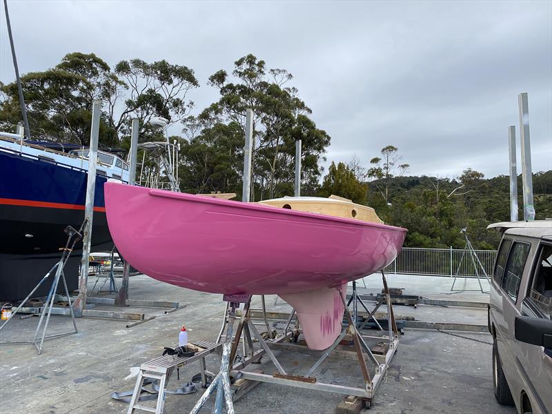 Pretty in Pink - Mermaid joins the D-Class fleet - photo © Jeni Bone