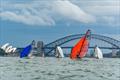 ACO 14th Musto Skiff World Championship 2025, Sydney, Australia Day 5 © Tidal Media Australia for Down Under Sail