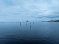 Saturday - Skiffs with no wind - ELYC Regatta 2025 © Steve Fraser
