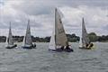 National 12 Dinghy Shack Series and Smugglers' Trophy at Royal Harwich © Steve Le Grys