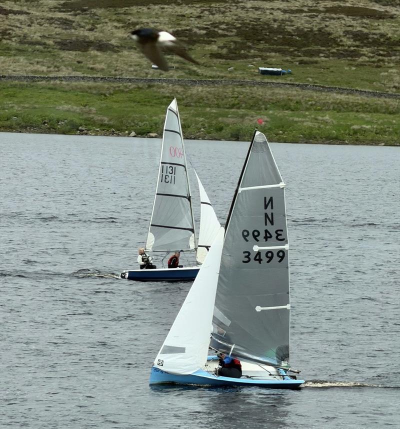 The winners on the water being photo bombed by a House Martin during the Yorkshire Dales National 12 Open photo copyright Judith Marshall taken at Yorkshire Dales Sailing Club and featuring the National 12 class