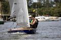 Norfolk Punt Championships 2024 at Barton Broad © Robin Myerscough